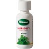 Finnsa vonná esencia Sauna Duft medovka 100 ml