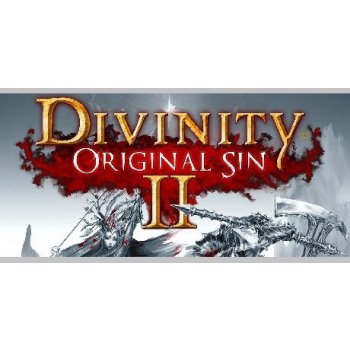 Divinity Original Sin 2