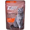 RAFI Cat Adult with duck - mokré krmivo pro kočky - 100g