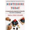 Montessori Today (Paula Polk Lillard)(Brožovaná)