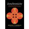 Synchronicity, Volume 15: Nature and Psyche in an Interconnected Universe (Cambray Joseph)
