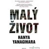 Malý život - Hanya Yanagihara - online doručenie