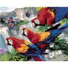 Maľovanie podľa čísel - Papagáje na konári nad vodopádom (Howard Robinson), 40 x 50 cm, bez rámu a napnutého plátna 8596530061403