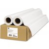 HP HP Everyday Matte Polypropylene, Matný polypropylén, CH022A, foto polypropylén, 2pack typ matný, biely, role, 24