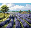 ZUTY Maľovanie podľa čísel - LEVANDUĽOVÉ POLE A DOM Rámovanie: vypnuté plátno na rám, Rozmer: 80x100 cm