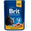 Brit Premium Cat Salmon & Trout 24 x 100 g