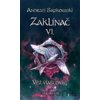 Zaklínač VI. : Věž vlaštovky - Andrzej Sapkowski
