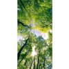 DIMEX | Samolepiaca fototapeta na podlahu FL-85-001 | 85 x 170 cm | Stromy + Modrá, hnedá, zelená vinylová samolepiaca fototapeta na podlahu so zosilnenou lamináciou