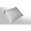 2G Detský vankúš Mikrostop 60x40(350g)