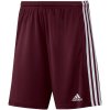 Adidas Squadra 21 Short Jr GN8081 (99756) White/Blue 116cm
