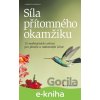 E-kniha Síla přítomného okamžiku - Gabriele Rossbach