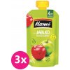 3x HAMÉ Ovocná desiata Jablko 100 g VP-F180068