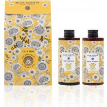 Blue Scents Gift box golden honey & argan oil - Darčekový box s medom a arganovým olejom 300 ml + 300 ml