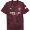 Manchester City Puma Red 5788361