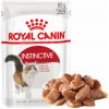 Royal Canin Feline Instinctive mäso v šťave 85 g