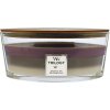 WoodWick Trilogy Amethyst Sky vonná sviečka s dreveným knôtom 453,6 g