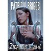 Ztraceni v zimě - Patricia Briggs