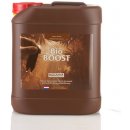 Canna BIO Boost 5l