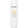 Goldwell Dualsenses Rich Repair Restoring Shampoo šampón pre suché a poškodené vlasy 250 ml