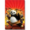 Kung Fu Panda obraz na stenu