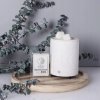 Colonial Candle Vonný vosk Bamboo & Lotus 77 g