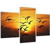 Obraz letiacich vtákov (Obraz 90x60cm)