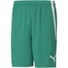 Puma | teamLIGA Shorts | zelená| XS