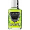 Marvis Spearmint ústna voda 120 ml