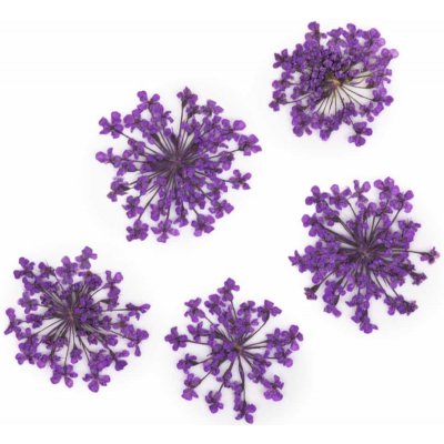 Starnails Sušené kvety na nechty - Purple, 5 ks