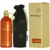 Montale Nepal Aoud parfumovaná voda unisex 100 ml