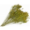 Sušené kvety Broom Bloom kytica 100g - olivové