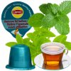 HERBATA W KAPSUŁKACH LIPTON PRE KÁVOVAR NESPRESSO KOMPATIBILNÝ VERBENA MINT