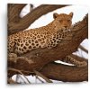 Sablio Obraz Leopard 2 - 50x50 cm