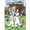 Magic Box Bob a Bobek ve filmu: Na stope Mrkvojeda N03911 - DVD film
