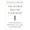 The World Beyond Your Head