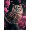 Norimpex Diamantová mozaika Sova v růžích