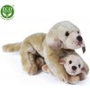 Rappa Plyšový labrador s bábätkom ležiaci 25 cm ECO-FRIENDLY