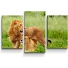 Sablio Obraz - 3-dílný Lev a Levica - 75x50 cm