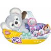 Moose Little Live Pets Plyšák Koala hračka interaktívny medvedík