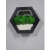 Šesťhranná drevená polička Hexagon čiernej farby so stabilizovaným machom, nástenná dekorácia s machom - 30 cm