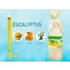 Ušné sviečky HOXI Eucalyptus
