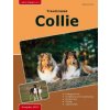 Traumrasse: Collie (Katharina Scholl)(Brožovaná)
