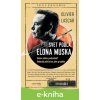 E-kniha Svet podľa Elona Muska - Olivier Lascar