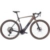 Gravel elektrobicykel Trek Checkpoint+ SL 5 - Matte Bronze Age/Dark Web M