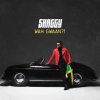 SHAGGY - WAH GWAAN?! LP