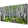 Obraz na plátne Les chodník príroda 100x50 cm