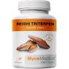 MYCOMEDICA Reishi triterpen 90 rastlinných vegánskych kapsúl
