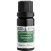 Nobilis Tilia éterický olej Levanduľa širokolistá (spaik) 10 ml