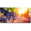Foto obraz akrylové sklo Hrozno a víno 100x50 cm