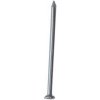 hřebík kolářský 36x1,6mm (1kg)
